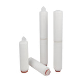 Hydrophilic polyvinylidene fluoride filter cartridge